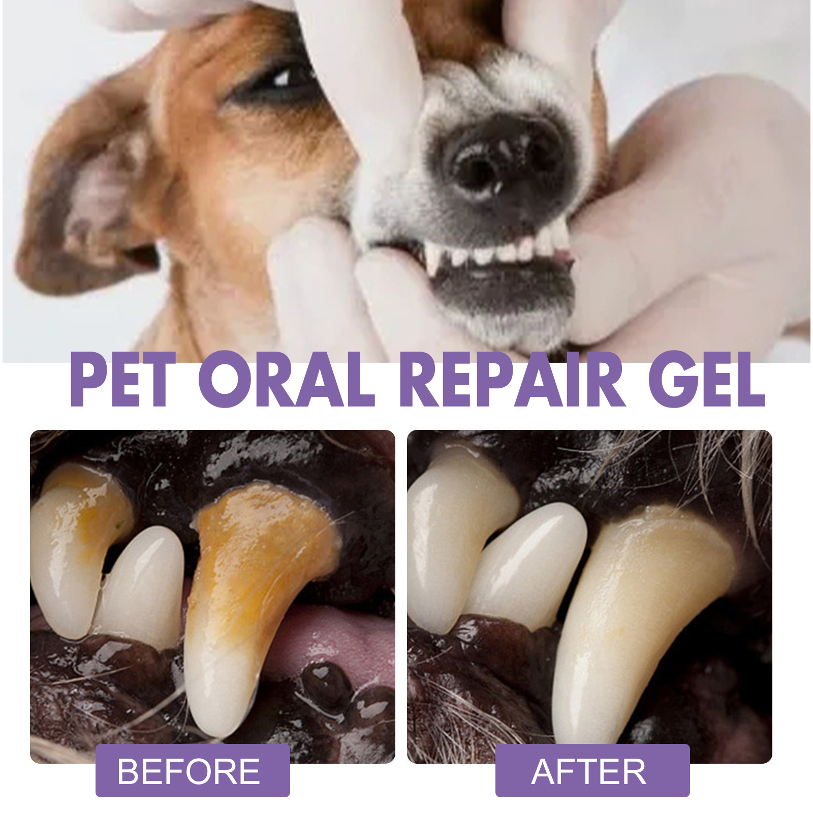 Gel per la riparazione orale d - Teeth Whitening Price recensione e prezzo