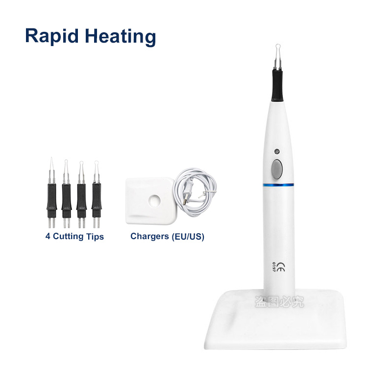 4 Punte Dentale Gutta Perca Cu - Teeth Whitening Kit Professional recensione e prezzo